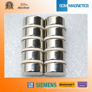 Super Strong Motor Neodymium Magnet